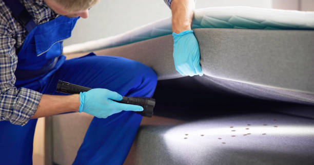 Best Flea Control Services  in Prairieville, LA